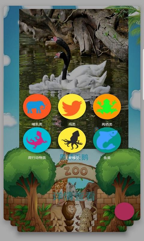森树舞会软件官方版下载,森树舞会,儿童app,科普app